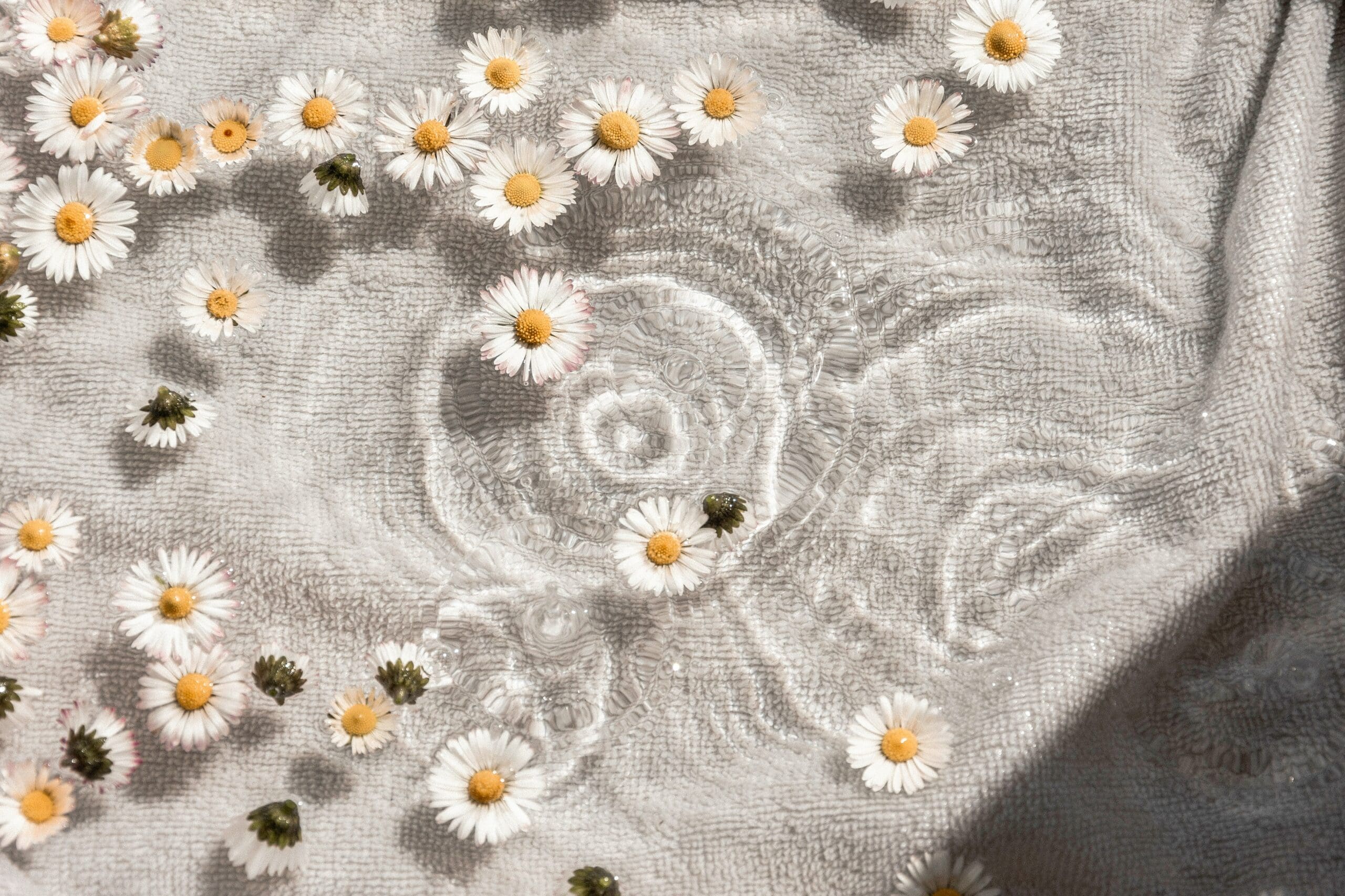 White and yellow daisies gently floating on water, evoking a sense of calm and serenity often associated with wellness practices. This image can inspire website designs that promote peace and tranquility for wellness practitioners. #wellnesswebsite #serene #calmingdesign