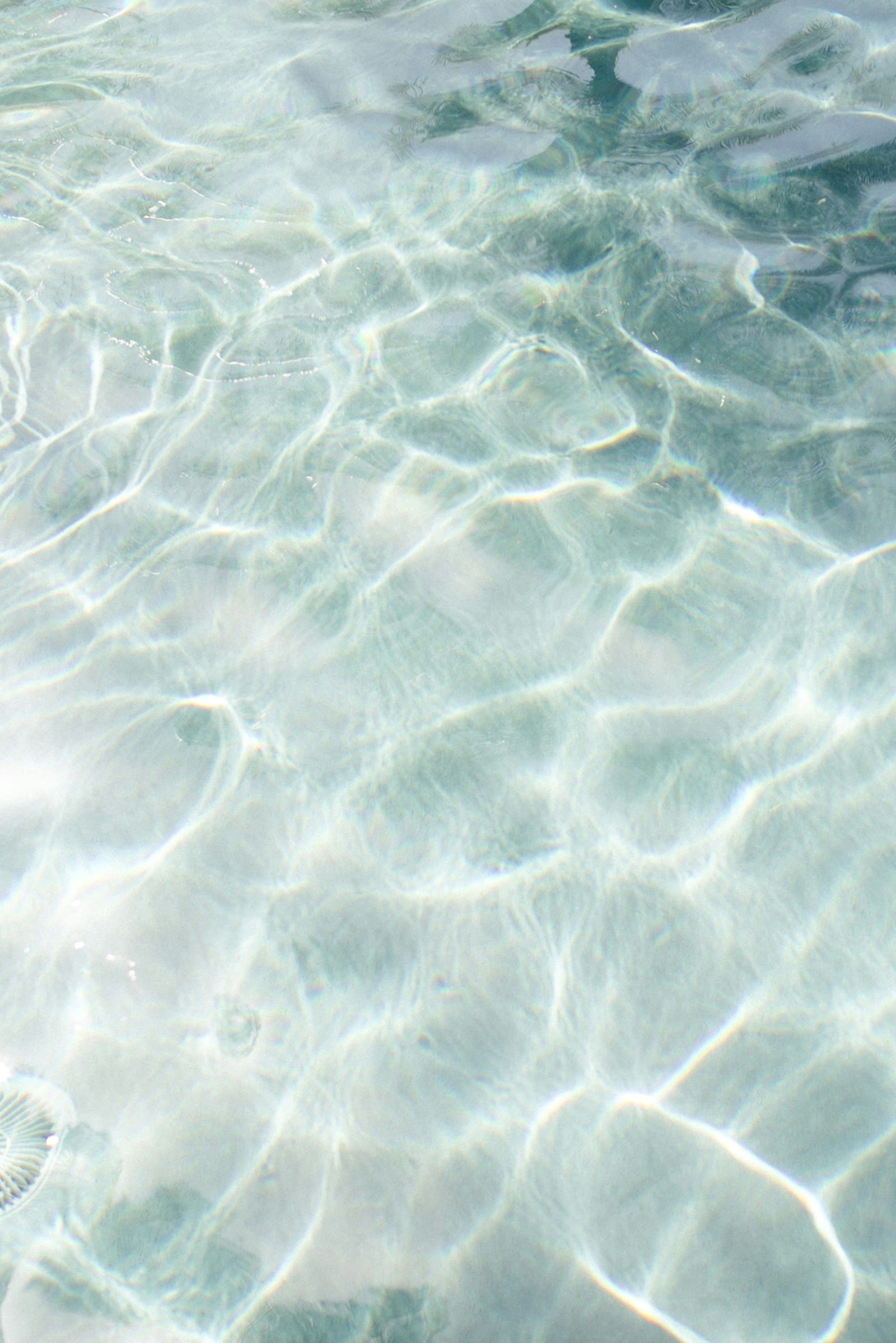 The tranquil clarity of water represents an engaging website design that fosters connection and inspires action. Use this visual to create an impactful website with a strong aesthetic. #engagingwebsitedesign #impactfulwebsitedesign #websiteswithastrongaesthetic